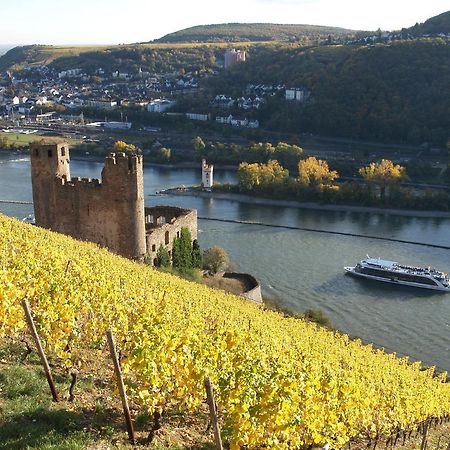 Hotel Lindenwirt Rüdesheim am Rhein Dış mekan fotoğraf
