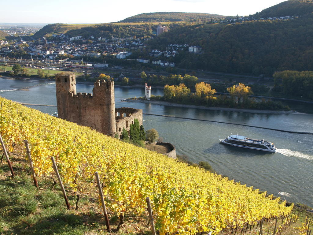 Hotel Lindenwirt Rüdesheim am Rhein Dış mekan fotoğraf